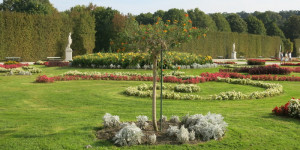 Beitragsbild des Blogbeitrags Jahreszeitenprojekt von Royusch – September – Schönbrunn durchs Jahr