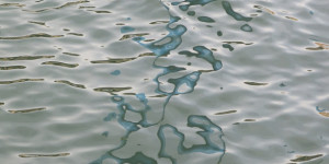 Beitragsbild des Blogbeitrags Samstag 4.November 2023, Glühen am 42. Herbsttag
