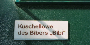 Beitragsbild des Blogbeitrags In verschiedenen Arten von Museen gibt es verschiedene Arten von Exponaten