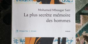 Beitragsbild des Blogbeitrags 94. Station meiner Literaturweltreise – Senegal
