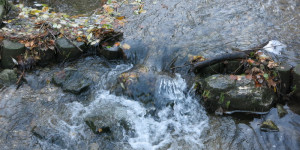 Beitragsbild des Blogbeitrags Blätterbach und Plätscherbach 