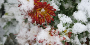 Beitragsbild des Blogbeitrags Samstag 26. November 2023 – Schnee am 64. Herbsttag