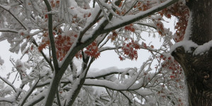 Beitragsbild des Blogbeitrags Samstag 2.Dezember, winterlicher 70.Herbsttag.