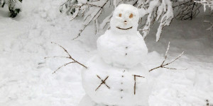 Beitragsbild des Blogbeitrags Freitag 8. Dezember 2023