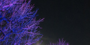 Beitragsbild des Blogbeitrags Freitag 29.12.2023 – Schönbrunn bei Vollmond und 1 Million Leute …