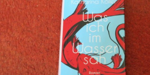 Beitragsbild des Blogbeitrags Viermäderlhaus -österreichische Literatur