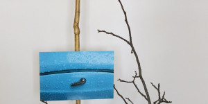 Beitragsbild des Blogbeitrags Ikebana 3/5