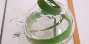 Beitragsbild des Blogbeitrags Ikebana 2/5