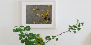 Beitragsbild des Blogbeitrags Ikebana 5/5 – das Letzte