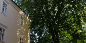 Beitragsbild des Blogbeitrags Sonntag 11. August 2024 – essen statt schwimmen
