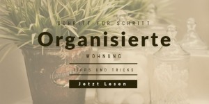 Beitragsbild des Blogbeitrags Schritt für Schritt  Organisierte Wohnung 