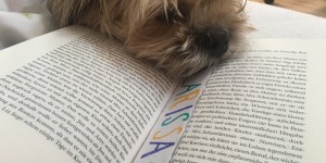 Beitragsbild des Blogbeitrags Flashback Friday 9.0
