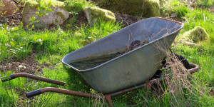 Beitragsbild des Blogbeitrags Blick in den Garten