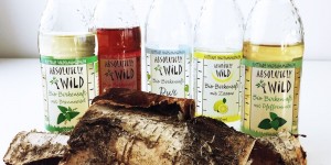 Beitragsbild des Blogbeitrags Frühlingsfrisch mit Bio-Birkensaft
