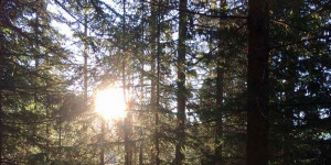 Beitragsbild des Blogbeitrags Positive Lebenseinstellung erlangen: Mit diesen vier Tipps gelingt es