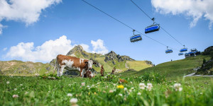 Beitragsbild des Blogbeitrags Den Bergsommer in Obertauern genießen – Bucket List Teil 2/2