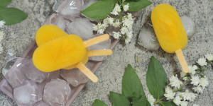 Beitragsbild des Blogbeitrags Capri Eis I schnell selbstgemacht I ohne Zucker