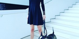Beitragsbild des Blogbeitrags Dog Amore