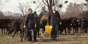 Beitragsbild des Blogbeitrags Stephan Farm, Wagyu Züchter und Fleischproduzent aus Leidenschaft! 