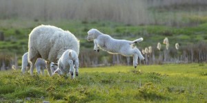 Beitragsbild des Blogbeitrags Leben ohne gelebt zu haben 