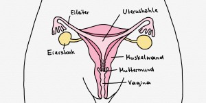 Beitragsbild des Blogbeitrags Mysterium Menstruation: Das Ding mit vielen Namen. 