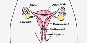 Beitragsbild des Blogbeitrags Mysterium Menstruation: Das Ding mit vielen Namen.