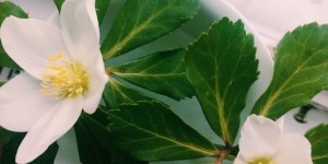 Beitragsbild des Blogbeitrags Unser Wochenende in Bildern & 12von12 | Hallo Salzkammergut!