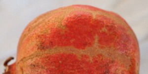 Beitragsbild des Blogbeitrags Küchen Hack | So öffnest du einen Granatapfel ohne Kleckern