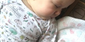 Beitragsbild des Blogbeitrags Wochenende in Bildern 24/25. März | Endlich Frühling!