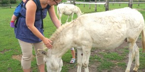 Beitragsbild des Blogbeitrags Ausflugstipp | Auf Endteckungsreise mit Kindern im barocken Schloss Hof