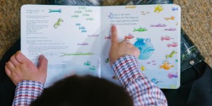 Beitragsbild des Blogbeitrags Instant Kindergarten Eingewöhnung | Oder: Kinder, die Trüffelschweinchen der versteckten Emotionen…