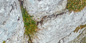 Beitragsbild des Blogbeitrags Kopfkraxen 2178m via Kraxengrat | 07.09.2021