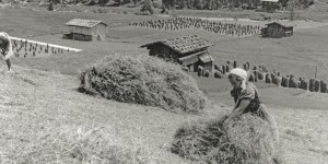 Beitragsbild des Blogbeitrags Geschenktipps für die letzte Sekunde: Bücher über Tirol