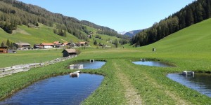 Beitragsbild des Blogbeitrags Kwell-Saiblinge aus Obernberg: Ein einzigartiger Genuss