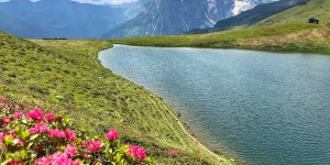 Beitragsbild des Blogbeitrags Die ‚Gratwanderung vom Nösslachjoch nach Obernberg