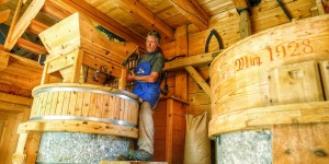 Beitragsbild des Blogbeitrags Marktwochen am BIO-Hof Glatzl in Haiming
