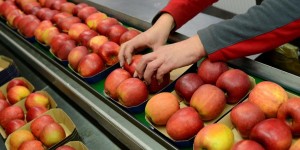 Beitragsbild des Blogbeitrags Trotz Corona: Haiminger Verkaufstage finden am 10. und 17. Oktober statt