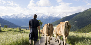 Beitragsbild des Blogbeitrags Weniger ist Mehr. Der Hof Englhorn in Schleis bei Mals im Vinschgau. 