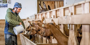 Beitragsbild des Blogbeitrags Vollerwerbs-Bergbauer und Käsekünstler: Die zweite Karriere des Martin Grüner