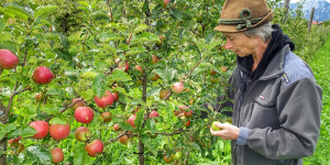 Beitragsbild des Blogbeitrags Die ‚Guten Frücht‘ von Regula Imhof