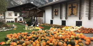Beitragsbild des Blogbeitrags Christian Kopp – ein Bauer als BIO-Nahversorger einer Region