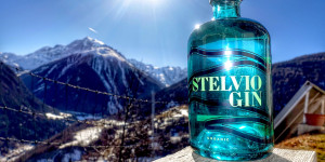 Beitragsbild des Blogbeitrags Total regional: der Stelvio-Gin 