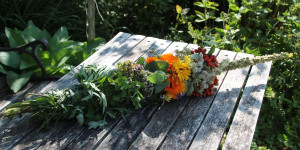 Beitragsbild des Blogbeitrags Von der Magie der Natur