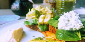 Beitragsbild des Blogbeitrags Albert – vegan in Wien
