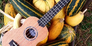 Beitragsbild des Blogbeitrags Ukulele Intro – Tiger Soprano UKE 14