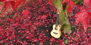 Beitragsbild des Blogbeitrags Ruhrkulele 2019 