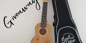Beitragsbild des Blogbeitrags Giveaway: Spot On Ukes Soprano Ukulele