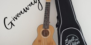 Beitragsbild des Blogbeitrags Giveaway: Spot On Ukes Soprano Ukulele 