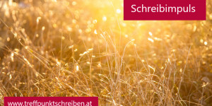 Beitragsbild des Blogbeitrags Schreibimplus – Wärme