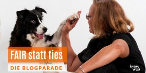Beitragsbild des Blogbeitrags FAIR statt fies – die Blogparade